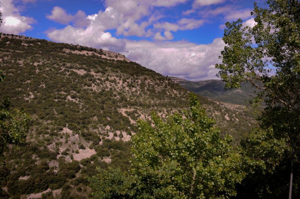 Ferienwohnung Complejo Rural La Glorieta Catí Zimmer foto